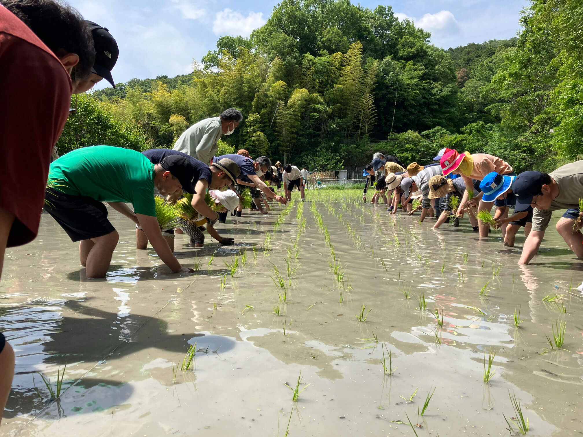 Saito Rice Terrace Farmer Club