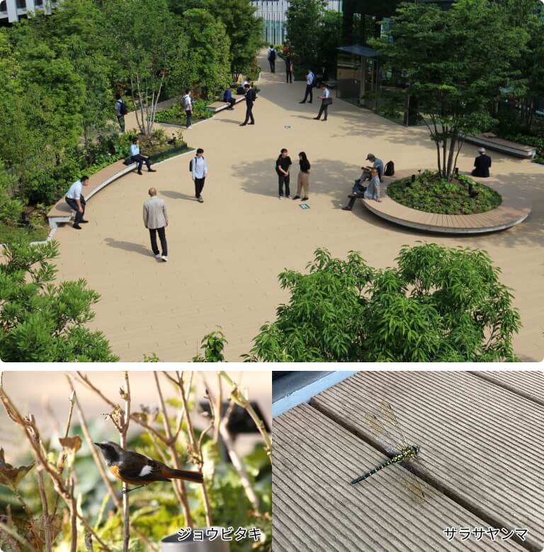 大阪梅田ツインタワーズ・サウス